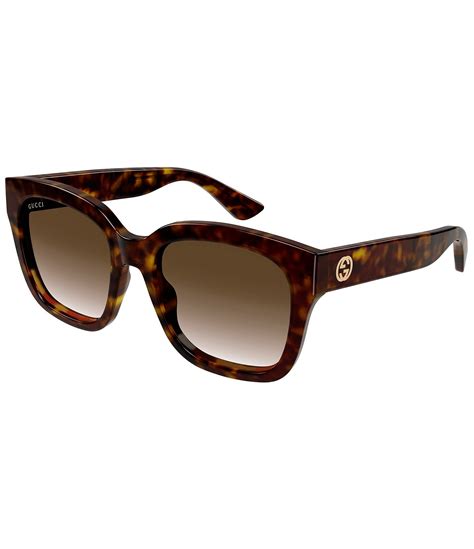 gucci cat eye glasses cat 3|Gucci cat eye sunglasses havana.